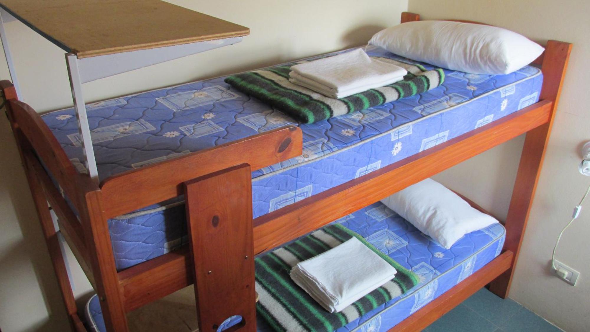 Aves Del Hostel *