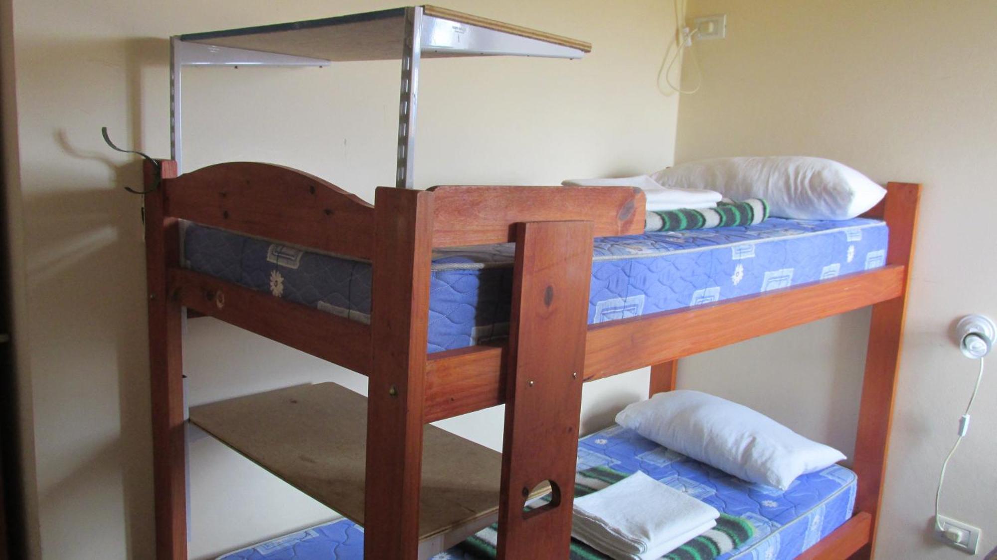 Aves Del Hostel