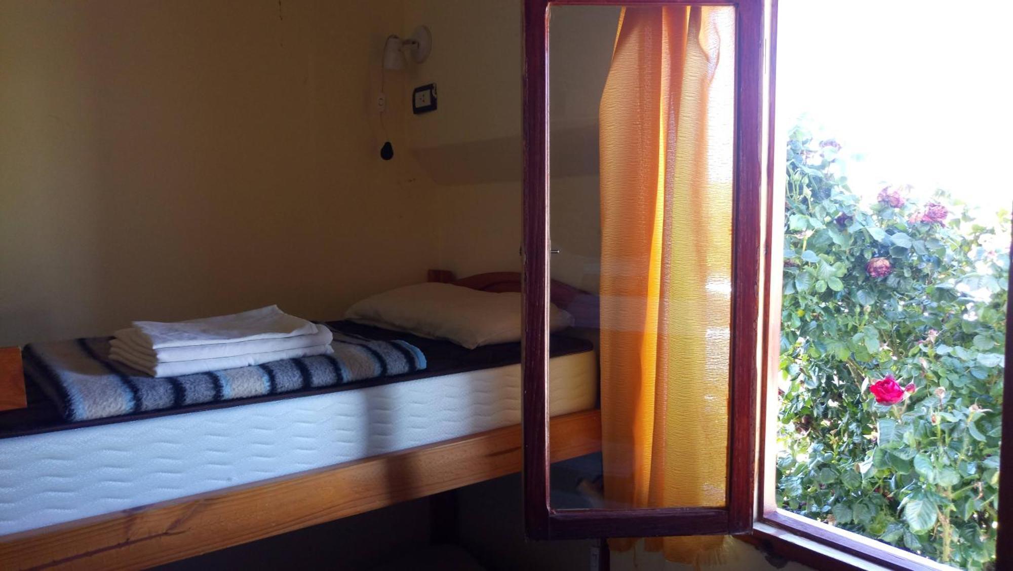 Aves Del Hostel El Calafate