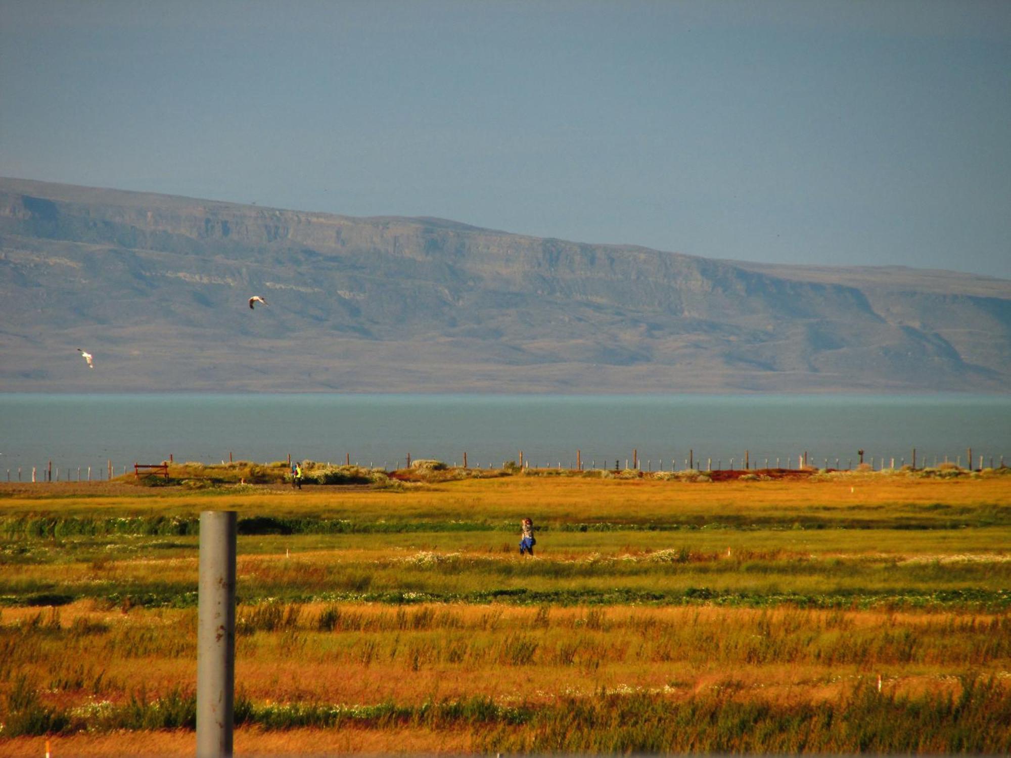 Hostel Aves Del El Calafate