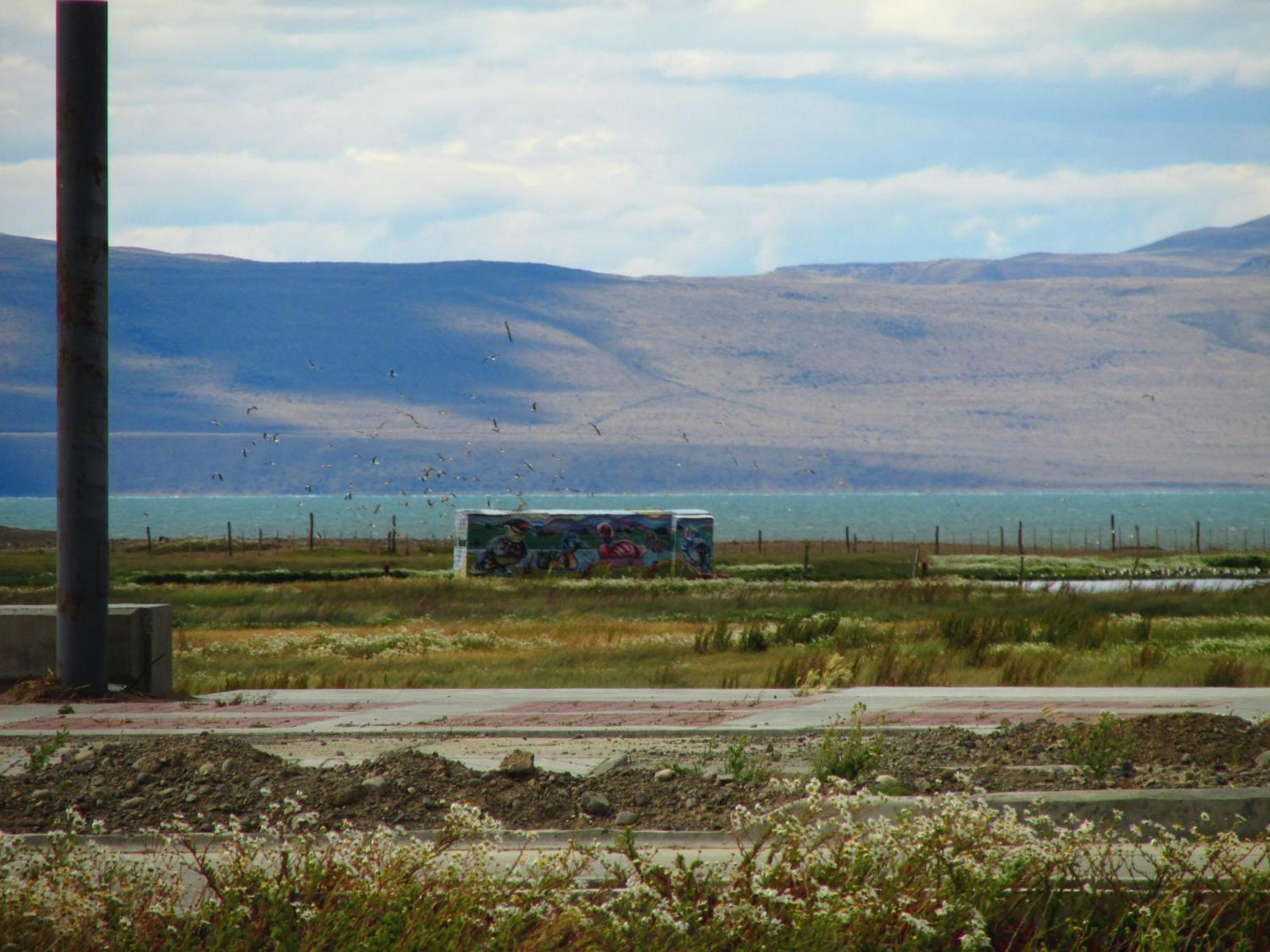 Aves Del * El Calafate