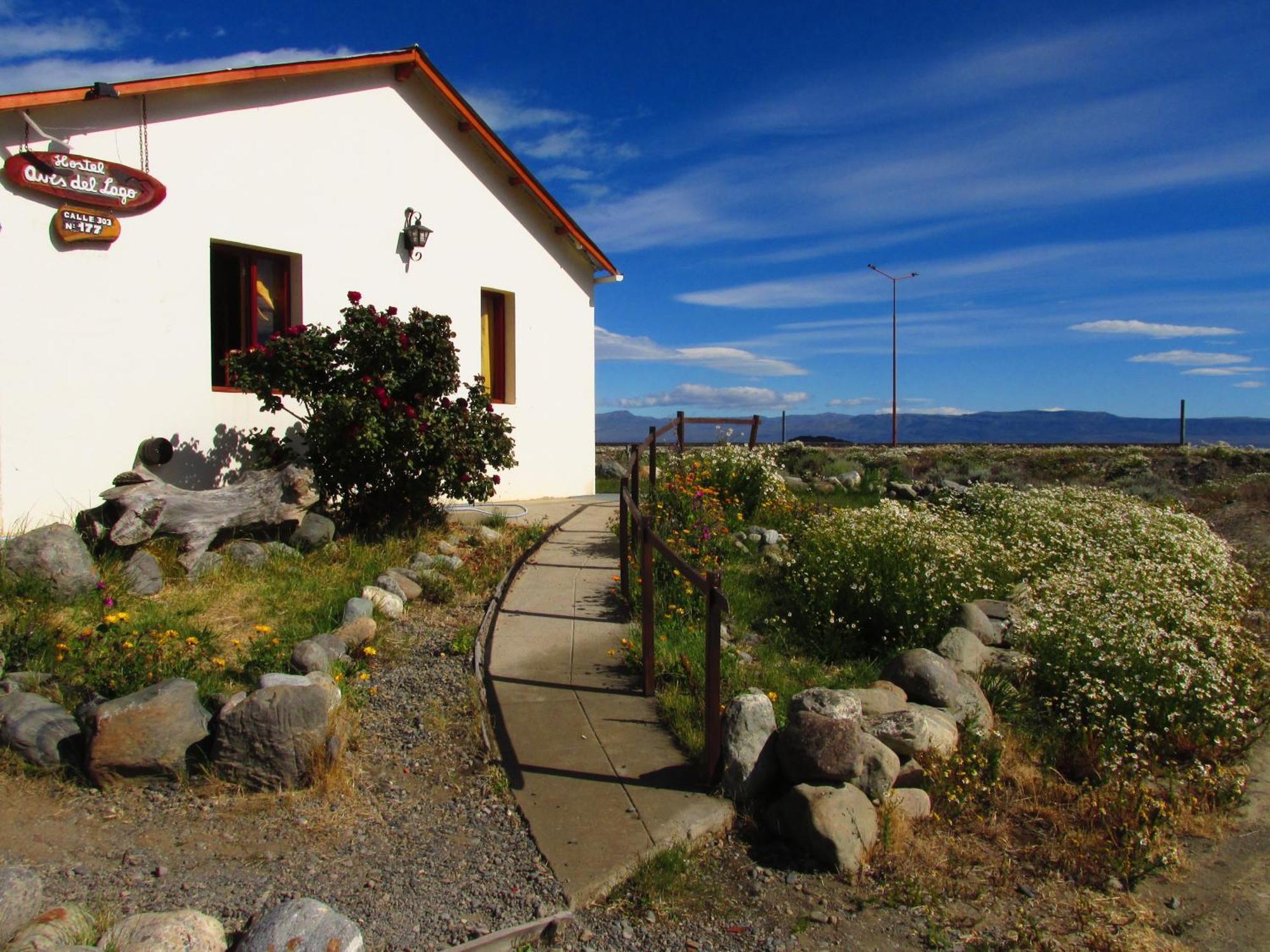Aves Del El Calafate