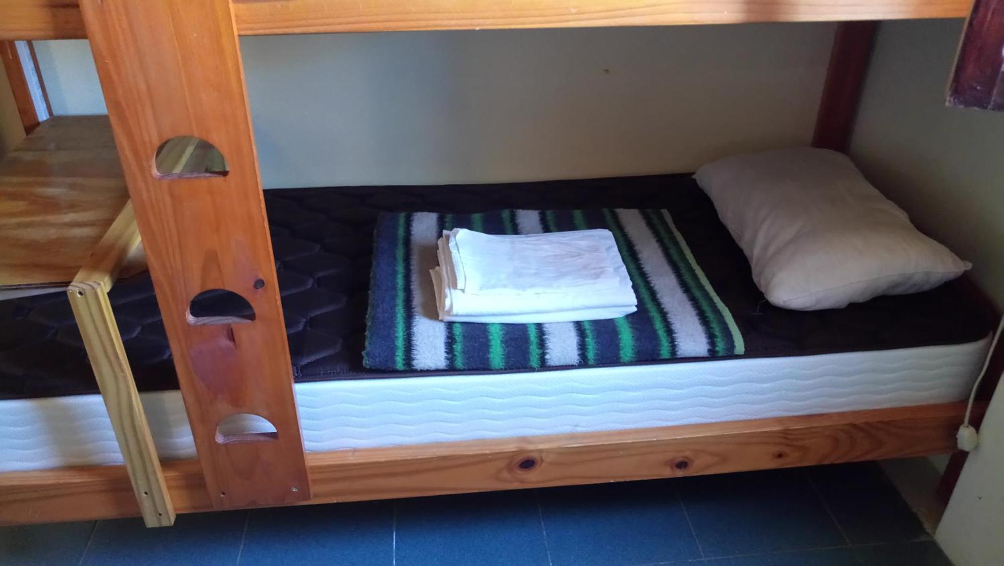 Aves Del Hostel El Calafate