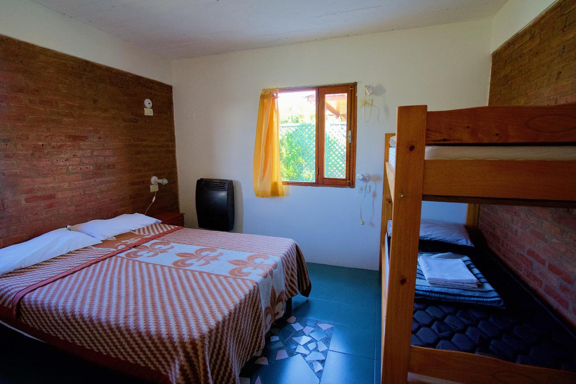 Aves Del Hostel *
